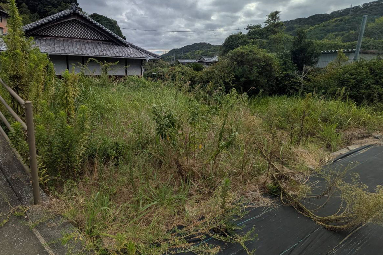 草刈り前の様子